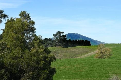 Photo of property in 183 Te Tahi Road, Puketotara, Te Awamutu, 3876