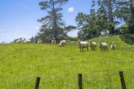 Photo of property in 145 Peers Road, Omanawa, Tauranga, 3171