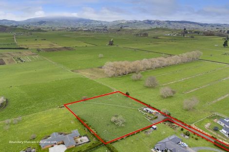 Photo of property in 3074a Cambridge Road, Rotoorangi, Cambridge, 3495