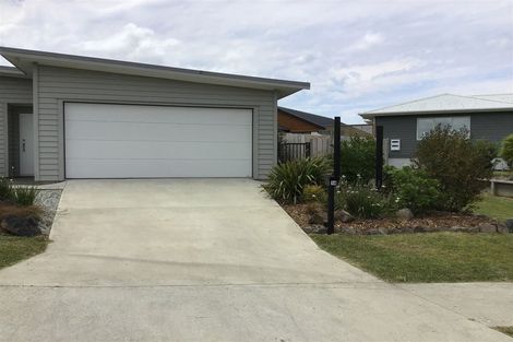 Photo of property in 14 Weka Street, Mangawhai, 0505