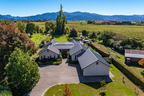 Photo of property in 45 Blicks Road, Renwick, 7204