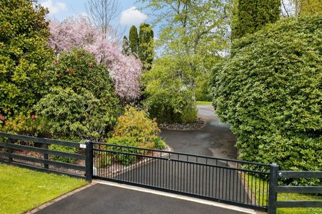 Photo of property in 181 Rosebanks Drive, Tamahere, Hamilton, 3283