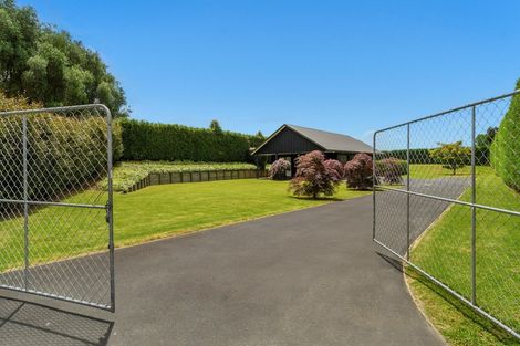 Photo of property in 20 Plane Tree Lane, Tauriko, Tauranga, 3110