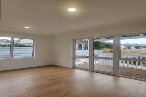 Photo of property in 14 Hooper Avenue, Pukekohe, 2120