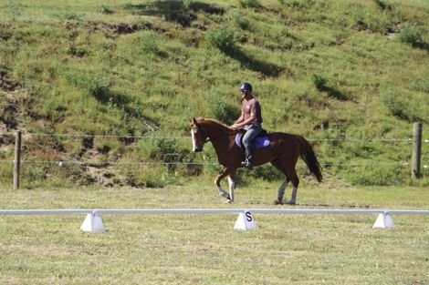 Photo of property in 541 Wilson Road, South Head, Helensville, 0874