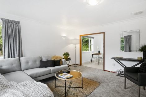 Photo of property in 49 Pacific Street, Roslyn, Dunedin, 9010