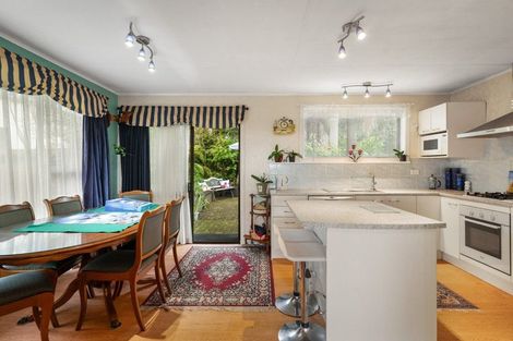 Photo of property in 102 Marie Place, Thames, 3500