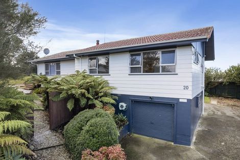 Photo of property in 20 Newham Place, Henderson, Auckland, 0612