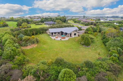 Photo of property in 16 Sika Avenue, Feilding, 4775