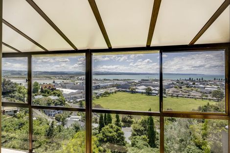 Photo of property in 28 Hospital Terrace, Hospital Hill, Napier, 4110