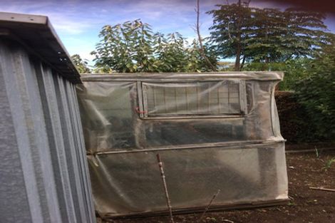 Photo of property in 8 Victoria Street, Tahawai, Katikati, 3170