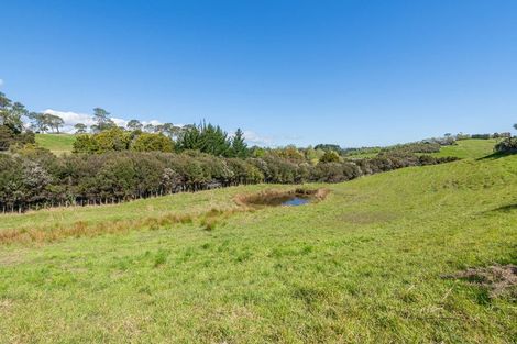 Photo of property in 883 Haruru Road, Wainui, Kaukapakapa, 0873