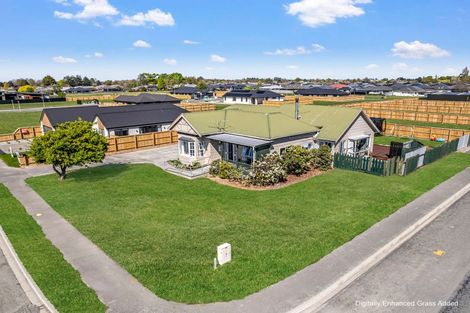 Photo of property in 65 Nixon Street, Tinwald, Ashburton, 7700