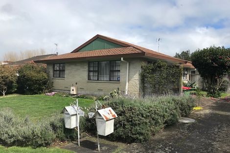 Photo of property in 56 Alison Street, Hamilton Lake, Hamilton, 3204