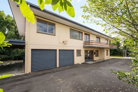 Photo of property in 19 Sussex Street, Chartwell, Hamilton, 3210