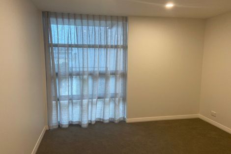 Photo of property in 514/8 Kingsland Terrace, Kingsland, Auckland, 1021