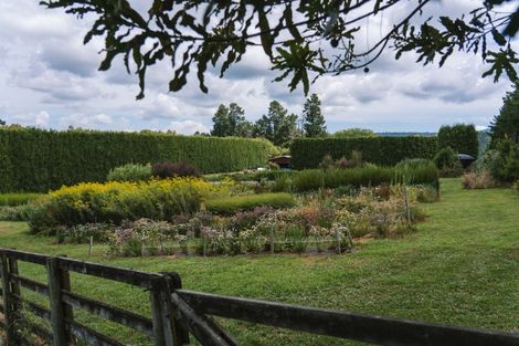 Photo of property in 259 Wainui Road South, Whakamarama, Katikati, 3181