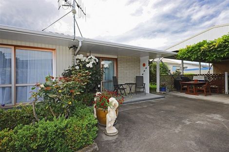 Photo of property in 702a Williams Street, Mahora, Hastings, 4120