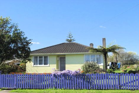 Photo of property in 11 Taniwharau Street, Huntly, 3700