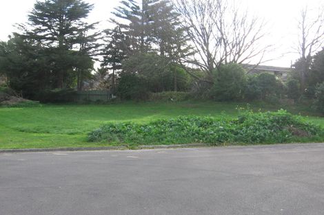 Photo of property in 3 Heritage Place, Terrace End, Palmerston North, 4410
