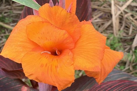 Photo of property in 1665 Matapouri Road, Matapouri, Whangarei, 0173