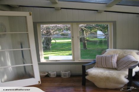 Photo of property in 141 Portia Street, Stratford, 4332