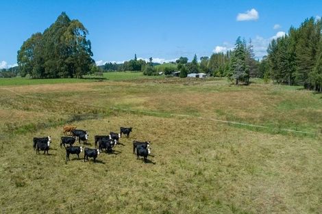Photo of property in 538 Waiwhero Road, Ngatimoti, Upper Moutere, 7175