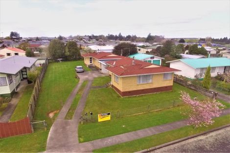 Photo of property in 24 Barnett Street, Putaruru, 3411