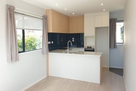 Photo of property in 2b Wendell Place, Greenlane, Auckland, 1061