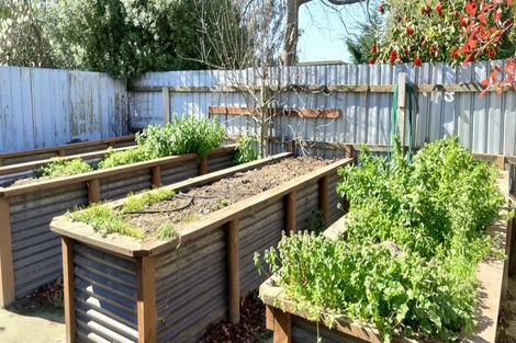 Photo of property in 47 Normanby Street, Rakaia, 7710