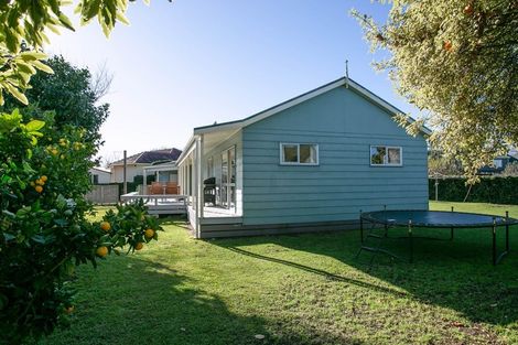 Photo of property in 66 Thompson Street, Leamington, Cambridge, 3432