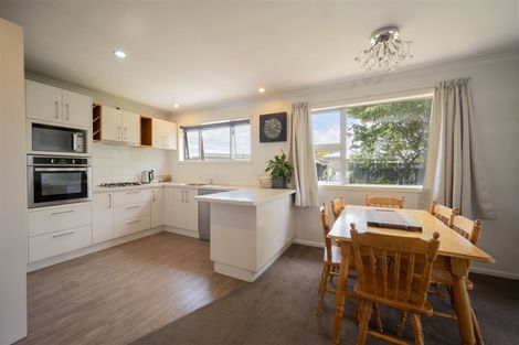 Photo of property in 48 Ashworth Street, Alexandra, 9320