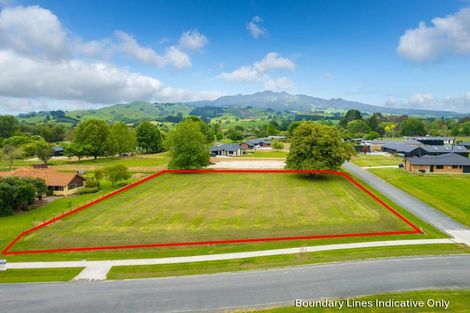 Photo of property in 800 Collinson Street, Pirongia, 3802