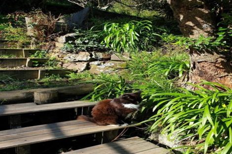 Photo of property in 10a Sydenham Street, Northland, Wellington, 6012