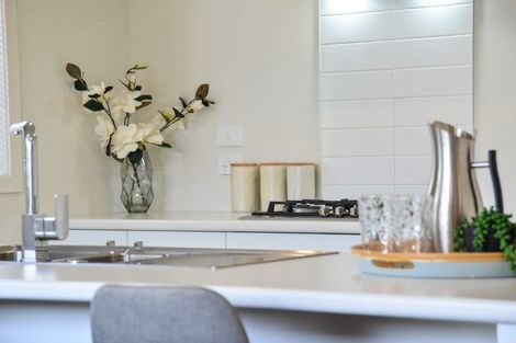 Photo of property in 29 Benjamin Avenue, Rototuna North, Hamilton, 3210