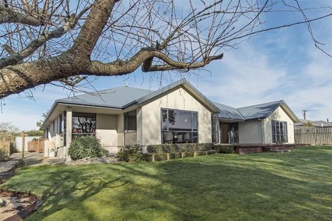 Photo of property in 217 Pages Road, Gleniti, Timaru, 7910