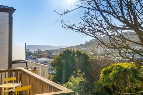 Photo of property in 151 Tasman Street, Mount Cook, Wellington, 6021