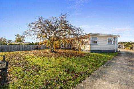 Photo of property in 9 Strathmore Street, Morrinsville, 3300