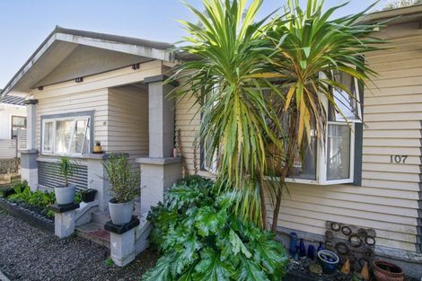 Photo of property in 107 Milton Road, Bluff Hill, Napier, 4110