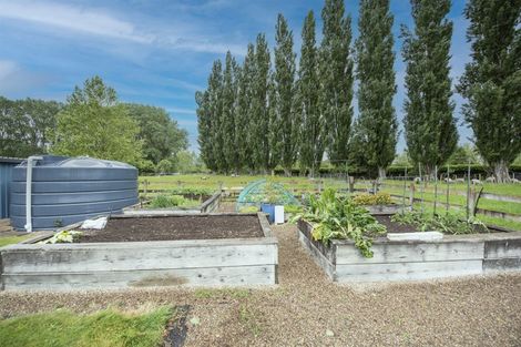 Photo of property in 401 Telephone Road, Puketaha, Hamilton, 3281