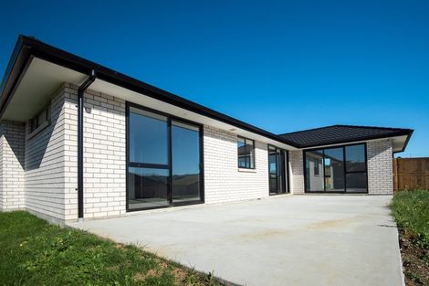 Photo of property in 101 Harriet Johnston Drive, Pokeno, 2402