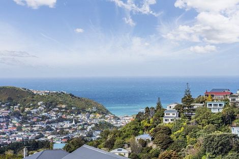 Photo of property in 121 The Ridgeway, Mornington, Wellington, 6021