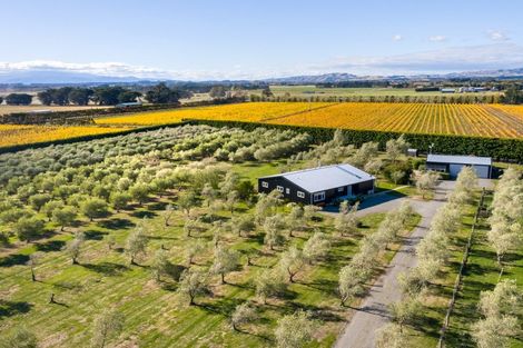 Photo of property in 399a Lake Ferry Road, Dyerville, Martinborough, 5781
