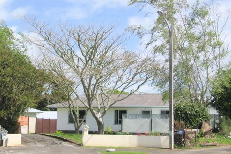 Photo of property in 17 Gummer Place, Morrinsville, 3300