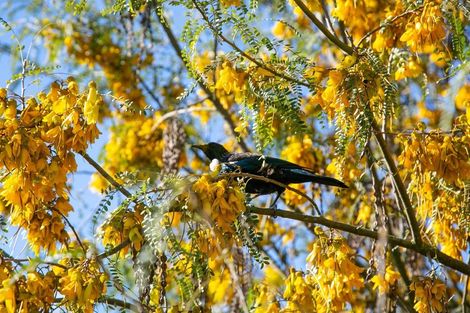 Photo of property in 1a Sanders Street, Arapuni, Putaruru, 3415