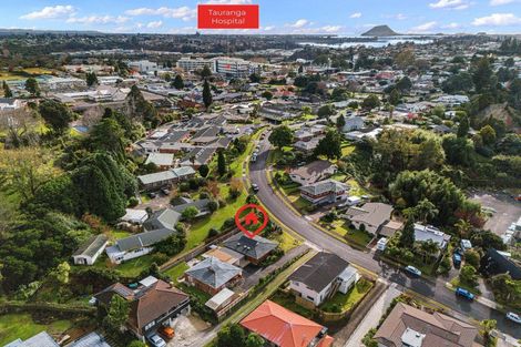 Photo of property in 63a Botanical Road, Tauranga South, Tauranga, 3112