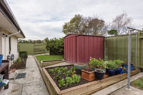 Photo of property in 17 Chelsea Avenue, Richmond, 7020