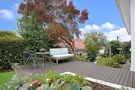 Photo of property in 3 Chapman Street, Wakari, Dunedin, 9010