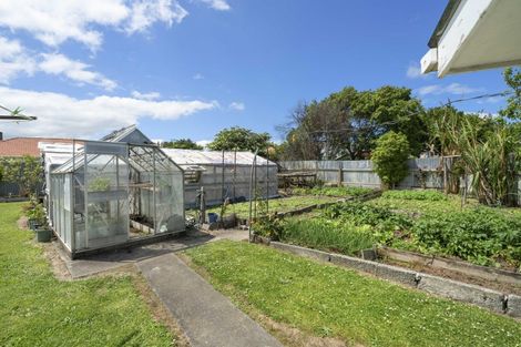 Photo of property in 14 Belfast Place, Roslyn, Palmerston North, 4414
