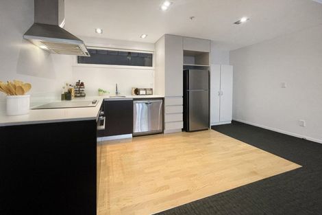 Photo of property in Revolucion Apartments, 104n/28 Torrens Terrace, Mount Cook, Wellington, 6011